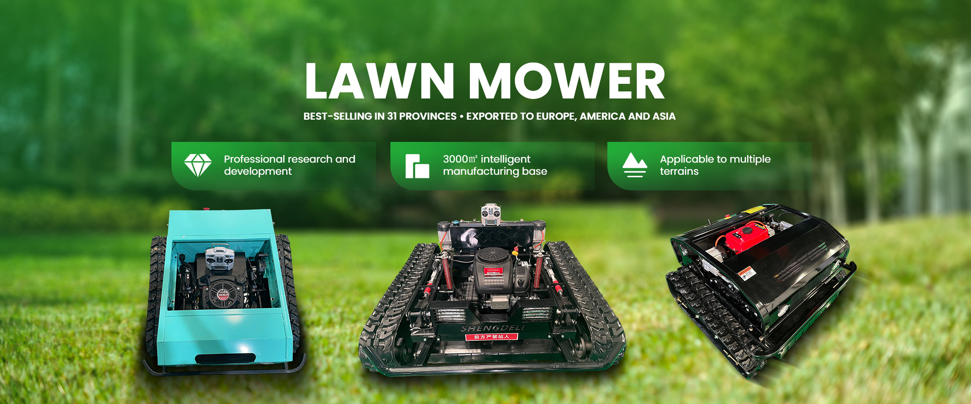 Gasoline Lawn Mower